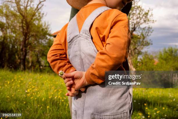 little boy holding daisy flower behind his back - mãos-atrás-das-costas imagens e fotografias de stock