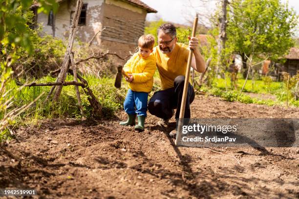 little boy gardening with his father - picture of a hoe stock pictures, royalty-free photos & images