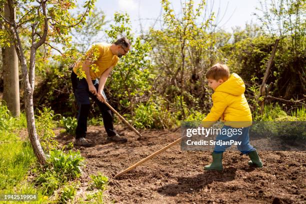 little boy gardening with his father - garden hoe stock pictures, royalty-free photos & images