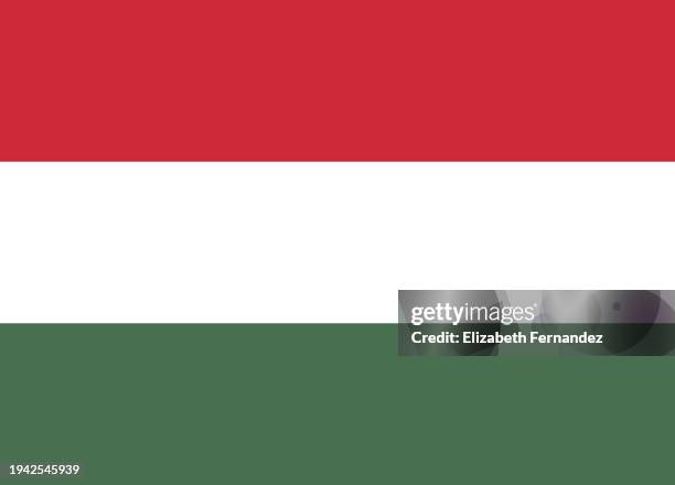 flag of hungary - hungarian flag stock pictures, royalty-free photos & images