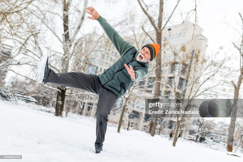 Snowfall Struggle