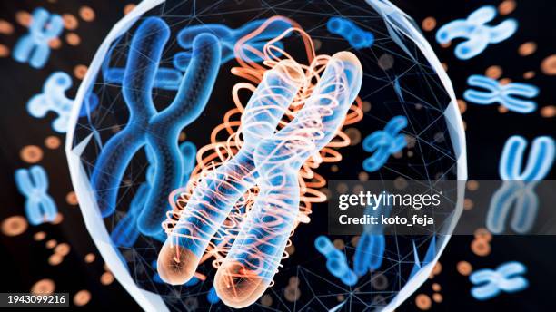disease x new genetics modification - human genome code stock pictures, royalty-free photos & images