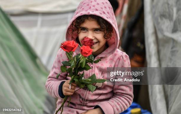Palestinian Roses 419 Child Smelling Rose Stock Photos, High-Res Pictures, and Images ...