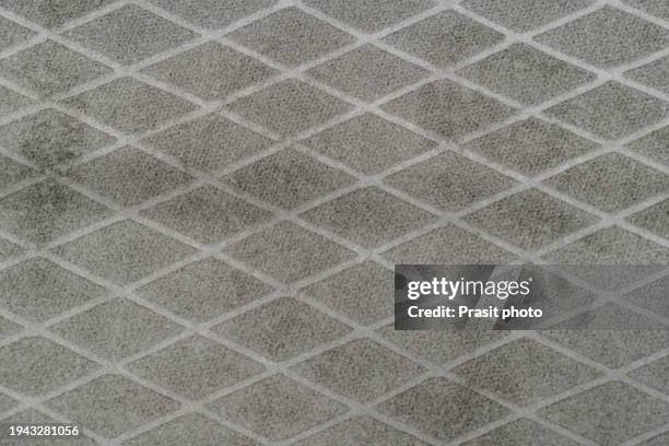 10,019 Checkered Carpet Stock Photos, High-Res Pictures, and Images ...