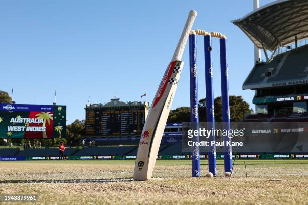 Bat is pictured leaning on the stumps before start of play during day three of the Mens Test match series between Australia and West Indies at...