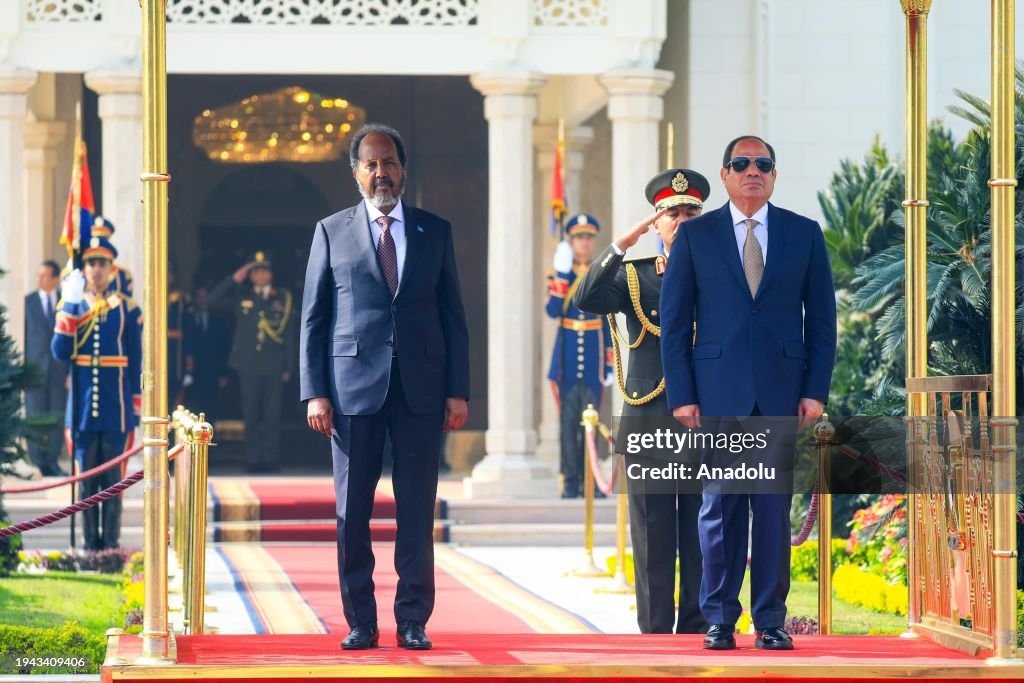 Abdel Fattah el-Sisi - Hassan Sheikh Mohamud meeting in Cairo