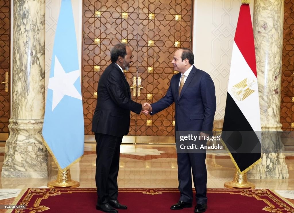 Abdel Fattah el-Sisi - Hassan Sheikh Mohamud meeting in Cairo