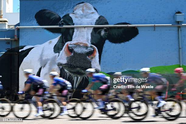 General view of the peloton competing during the 24th Santos Tour Down Under 2024, Stage 4 a 136.2km stage from Murray Bridge to Port Elliot / #UCIWT...