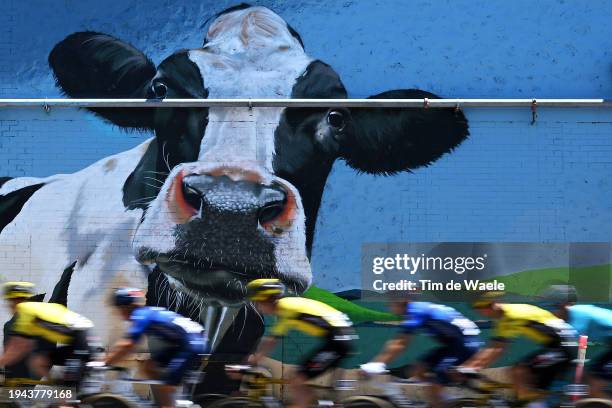 General view of the peloton competing during the 24th Santos Tour Down Under 2024, Stage 4 a 136.2km stage from Murray Bridge to Port Elliot / #UCIWT...