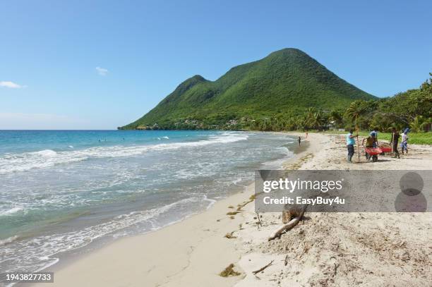 tropischen strand und den bergen - müllmann stock-fotos und bilder