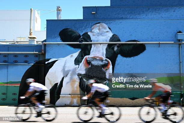 General view of the peloton competing during the 24th Santos Tour Down Under 2024, Stage 4 a 136.2km stage from Murray Bridge to Port Elliot / #UCIWT...
