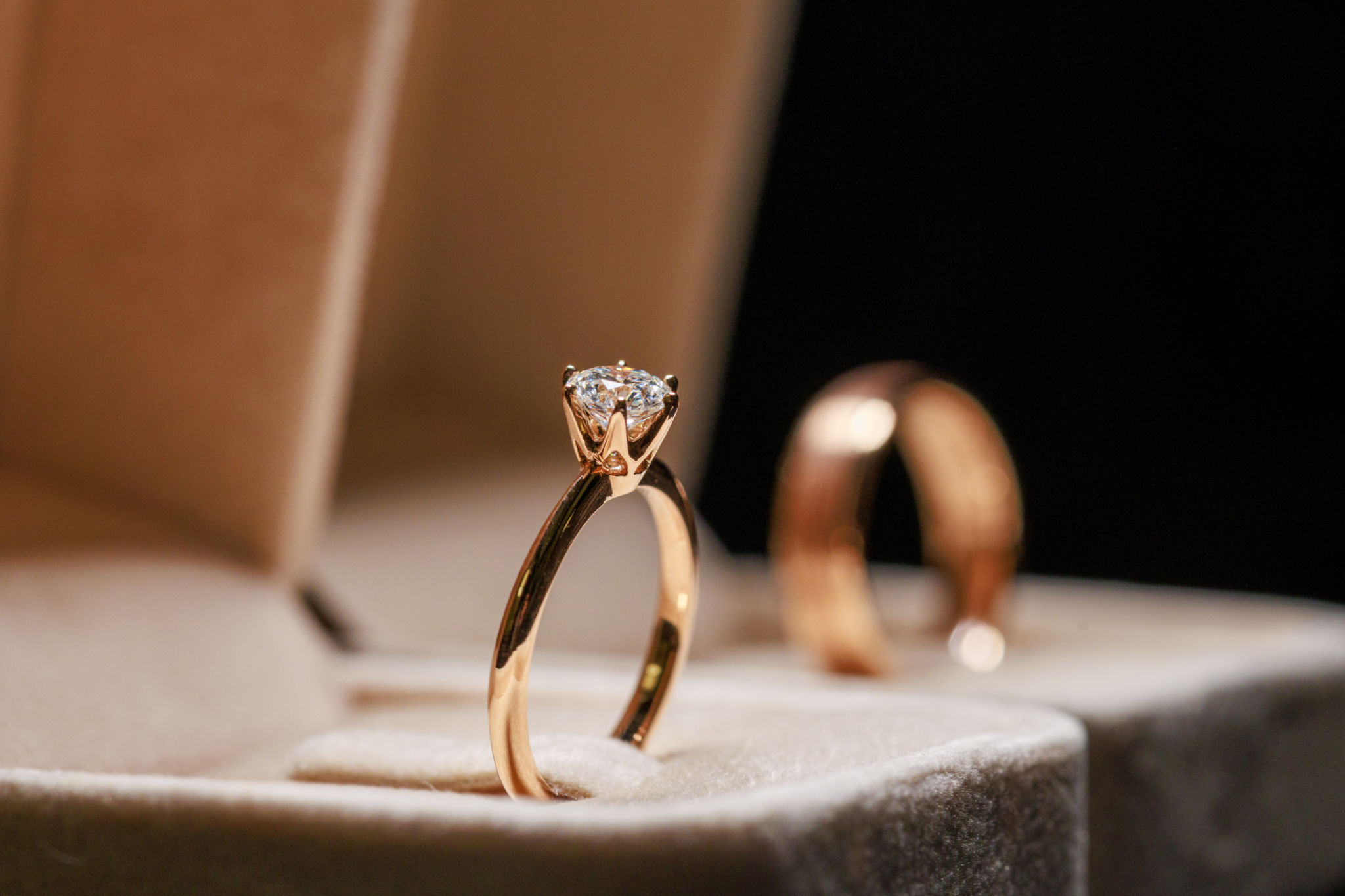 Close-up of the wedding rings of the bride and groom in a box Close-up of the wedding rings of the bride and groom in a box