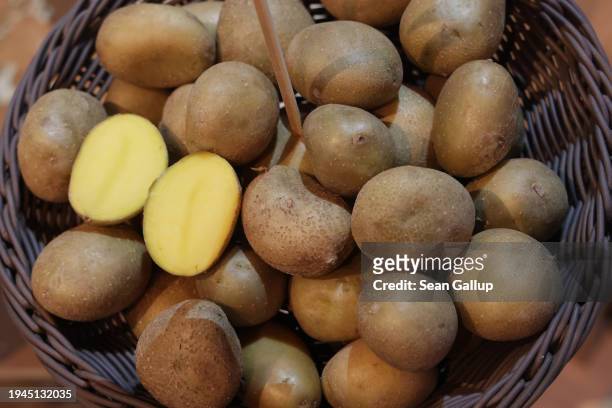 Regina potatoes lie on display at the Green Week agricultural trade fair on its opening day on January 19, 2024 in Berlin, Germany. The fair runs...