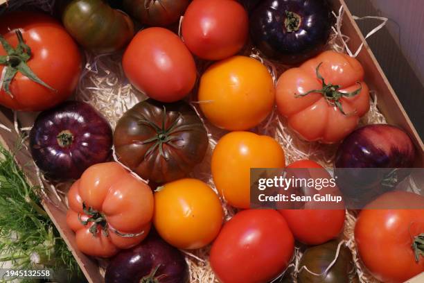 Tomato variants lie on display at the Green Week agricultural trade fair on its opening day on January 19, 2024 in Berlin, Germany. The fair runs...