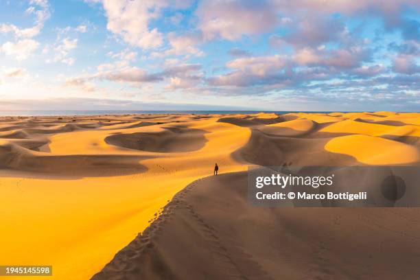 turist on top of a sand dune at sunset, spain - maspalomas stock-fotos und bilder
