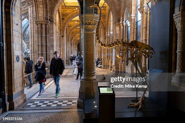 Natural History Museum In London Natural History Museum In London