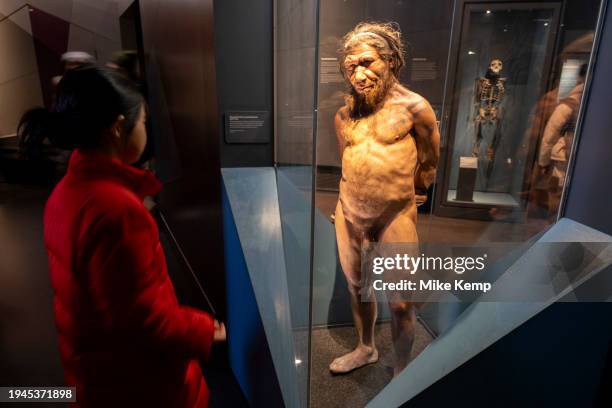 Neanderthal man at the human evolution exhibit at the Natural History Museum on 19th January 2024 in London, United Kingdom. The museum exhibits a...