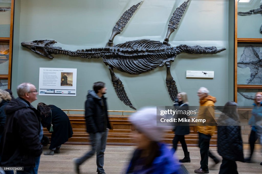 Natural History Museum In London