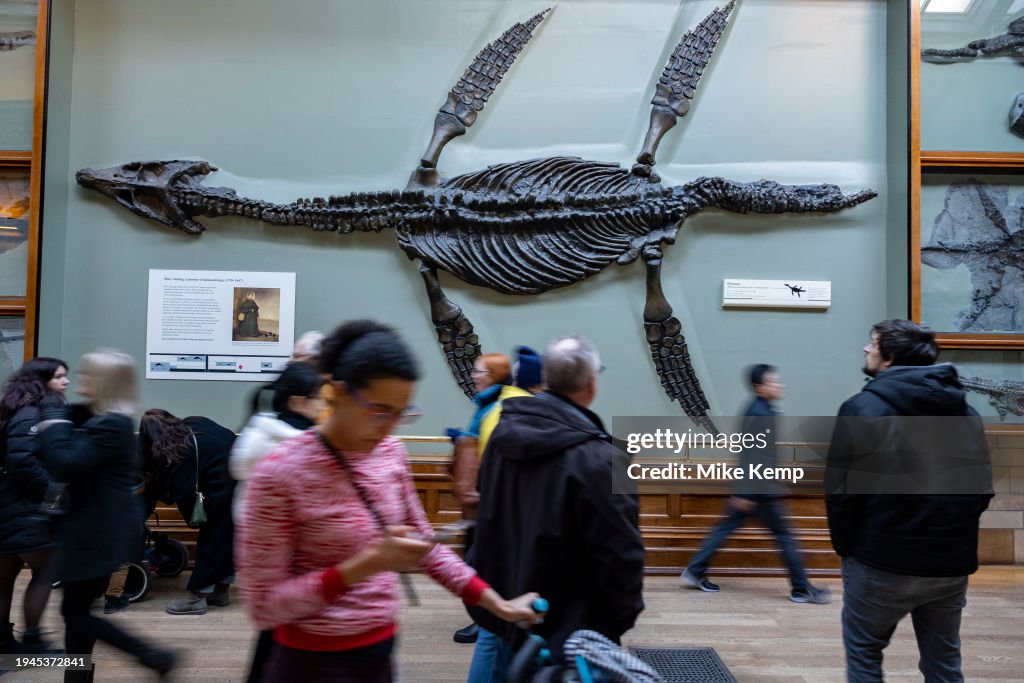Natural History Museum In London