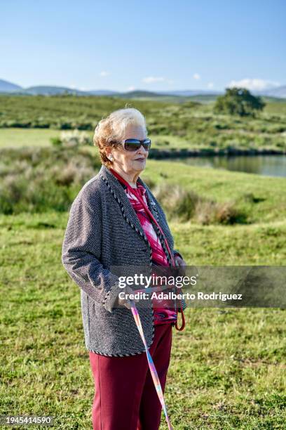 senior woman walking dog on leash in open field, sunny day, green grass - quadrupedalism stock pictures, royalty-free photos & images