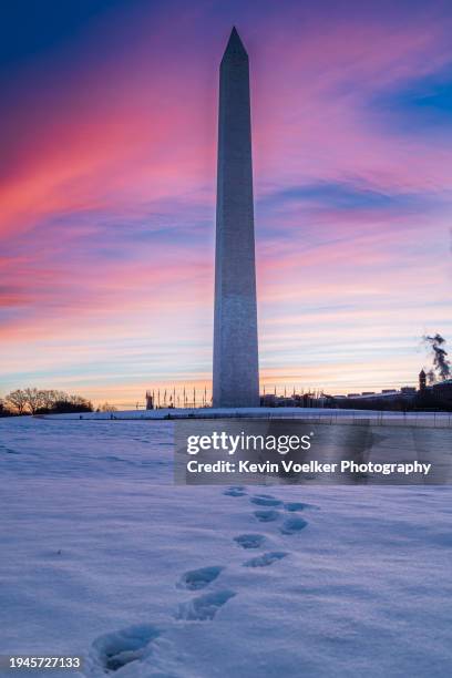 washington monument at sunrise - washington monument dc stock pictures, royalty-free photos & images