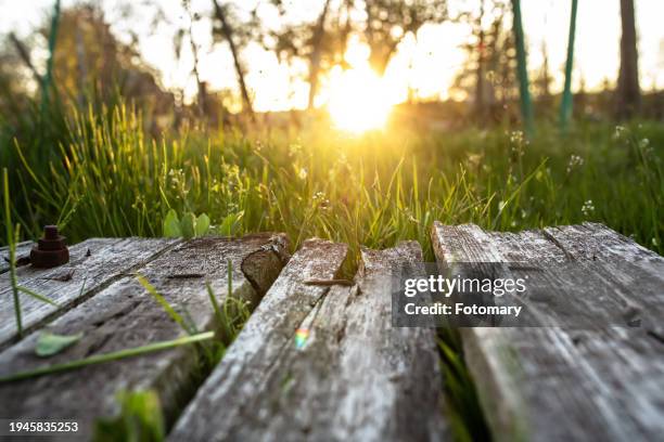 empty wooden table from old wooden planks - kyiv summer stock pictures, royalty-free photos & images