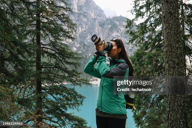 female photographer in dolomites forest, north italy - digitale spiegelreflexcamera stockfoto's en -beelden