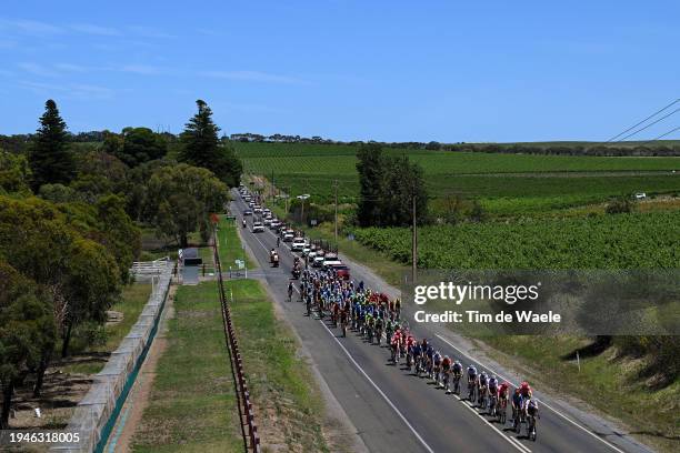 General view of the peloton passing through a vineyards landscape during the 24th Santos Tour Down Under 2024, Stage 5 a 129.3km stage from Christies...