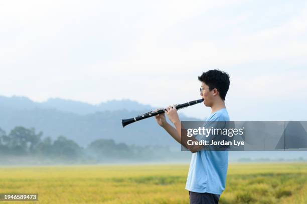 boy playing clarinet on the field - woodwind instrument stock pictures, royalty-free photos & images