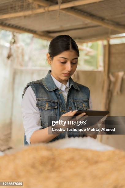 portrait of a rice mill worker. - rice milling stock pictures, royalty-free photos & images
