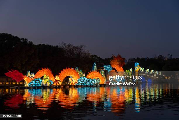 celebrating chinese new year, chinese year of the dragon, dragon shaped lanterns in the lake - lunar new year bildbanksfoton och bilder