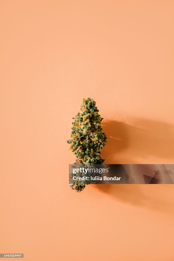 Cannabis over peach colour background