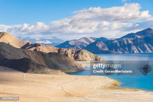 pangong lake panorama, ladakh, india - pangong lake stockfoto's en -beelden