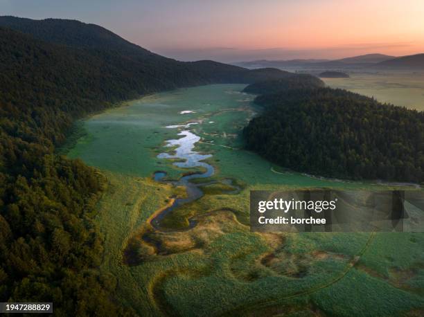 winding river in countryside - slovenia spring stock pictures, royalty-free photos & images