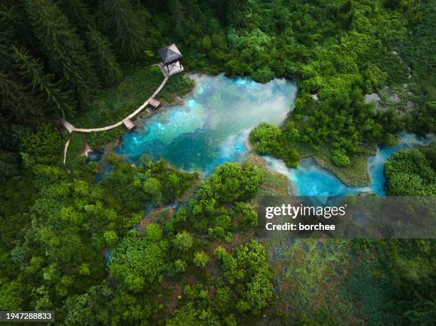 lago azul turquesa - eslovenia fotografías e imágenes de stock