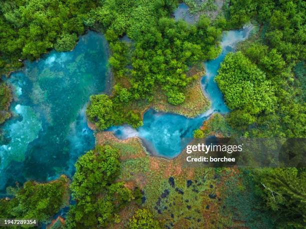 blue spring - spring flowing water stock pictures, royalty-free photos & images