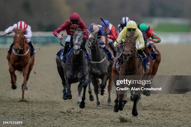 Jack Mitchell riding Oh So Grand win The BetMGM Winter Oaks Fillies' Handicap at Lingfield Park Racecourse on January 20, 2024 in Lingfield, England.