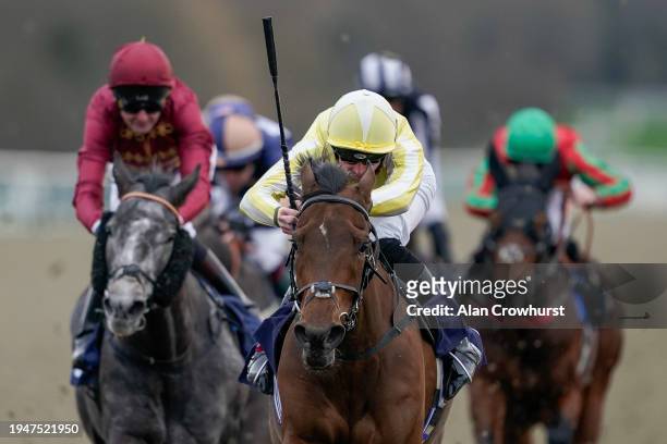 Jack Mitchell riding Oh So Grand win The BetMGM Winter Oaks Fillies' Handicap at Lingfield Park Racecourse on January 20, 2024 in Lingfield, England.