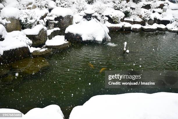 hambaeksan area in jeongseon-gun - jeongseon hambaeksan stock pictures, royalty-free photos & images