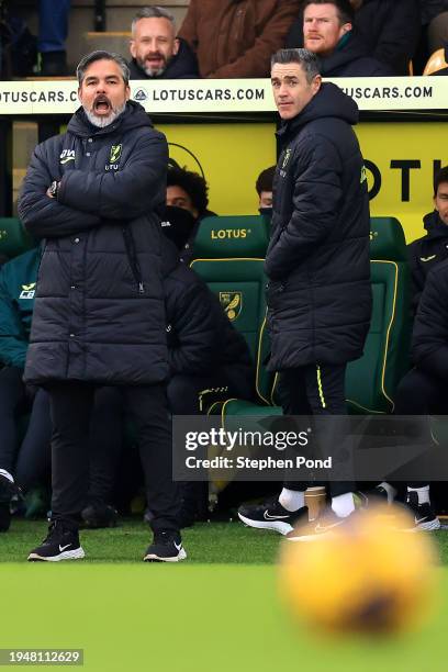 David Wagner, Manager of Norwich City during the Sky Bet Championship match between Norwich City and West Bromwich Albion at Carrow Road on January...