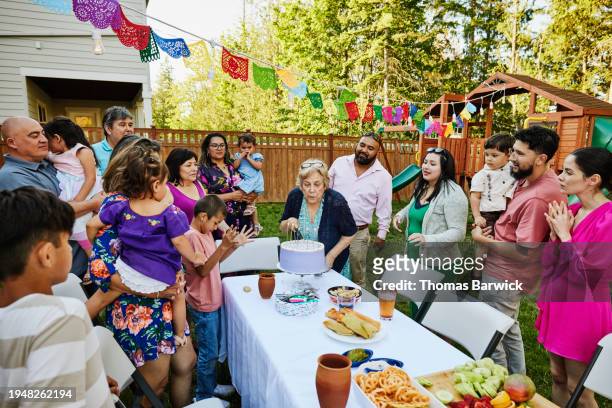 wide shot grandmother blowing out candles on cake during birthday party - light vivid children senior young focus foto e immagini stock