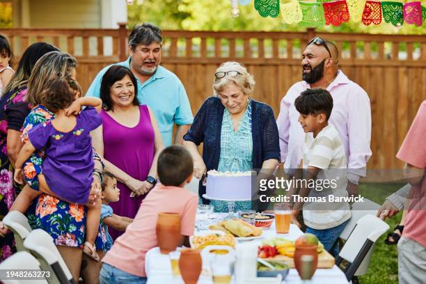 wide shot grandmother cutting cake at backyard family birthday party - light vivid children senior young focus foto e immagini stock