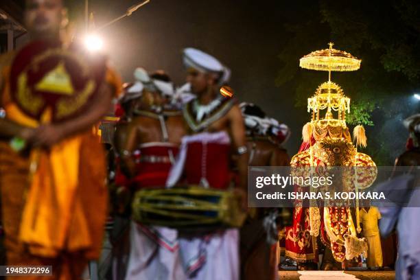 Decorated Sri Lankan elephant walks in a parade at the annual Perahera festival at the historic Kelaniya Buddhist temple in Kelaniya on January 23,...