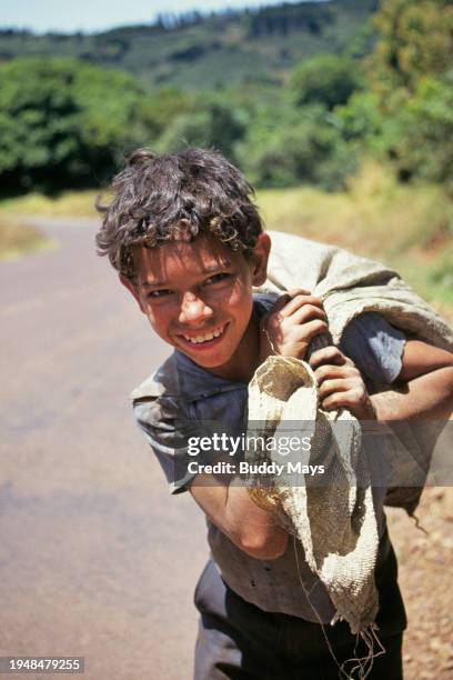 Young Costa Rican boy, a Tico, carries a bag of fresh picked coffee beans home to his family from a nearby coffee plantation at which he works, Costa...