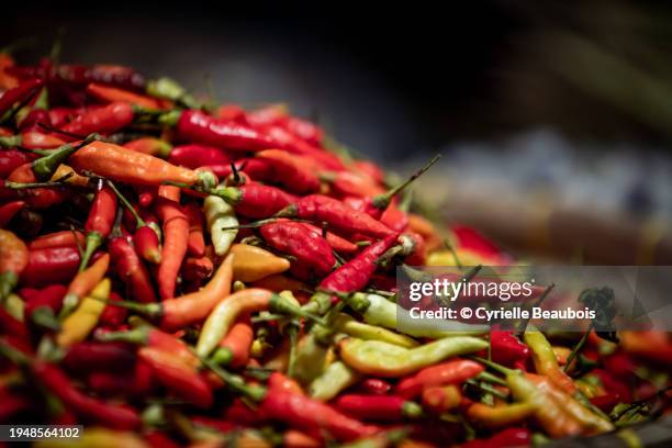 chili peppers on a market stall in bali - spice basket stock pictures, royalty-free photos & images