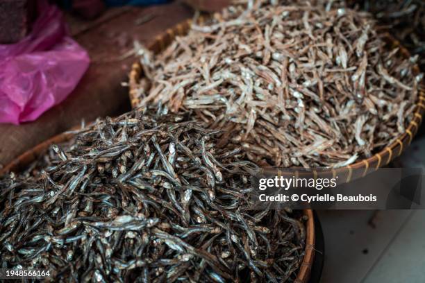 dried fish on a market stall in bali - spice basket stock pictures, royalty-free photos & images