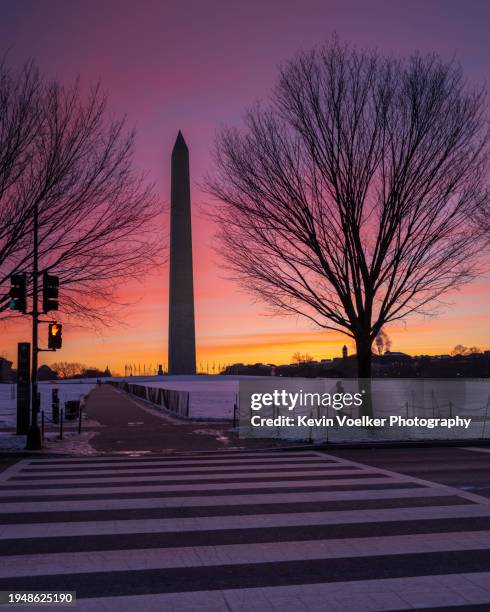 washington monument at dawn - washington monument dc stock pictures, royalty-free photos & images