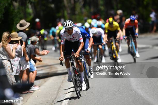 Isaac Del Toro Romero of Mexico and UAE Team Emirates attacks on the final climb Mount Lofty during the 24th Santos Tour Down Under 2024, Stage 6 a...