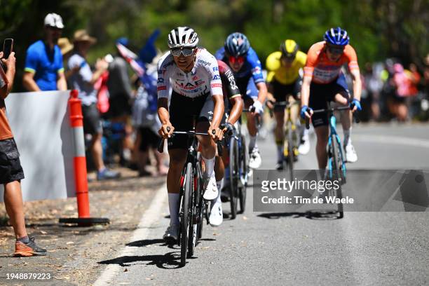 Isaac Del Toro Romero of Mexico and UAE Team Emirates attacks on the final climb Mount Lofty during the 24th Santos Tour Down Under 2024, Stage 6 a...