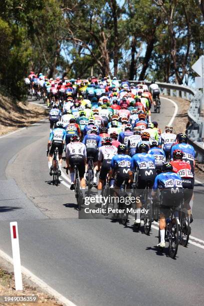 The peloton riding up to the Windy Point Lookout during the 24th Santos Tour Down Under Schwalbe Men's Stage 6 from Unley to Mount Lofty on January...